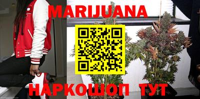 стаф Краснодар